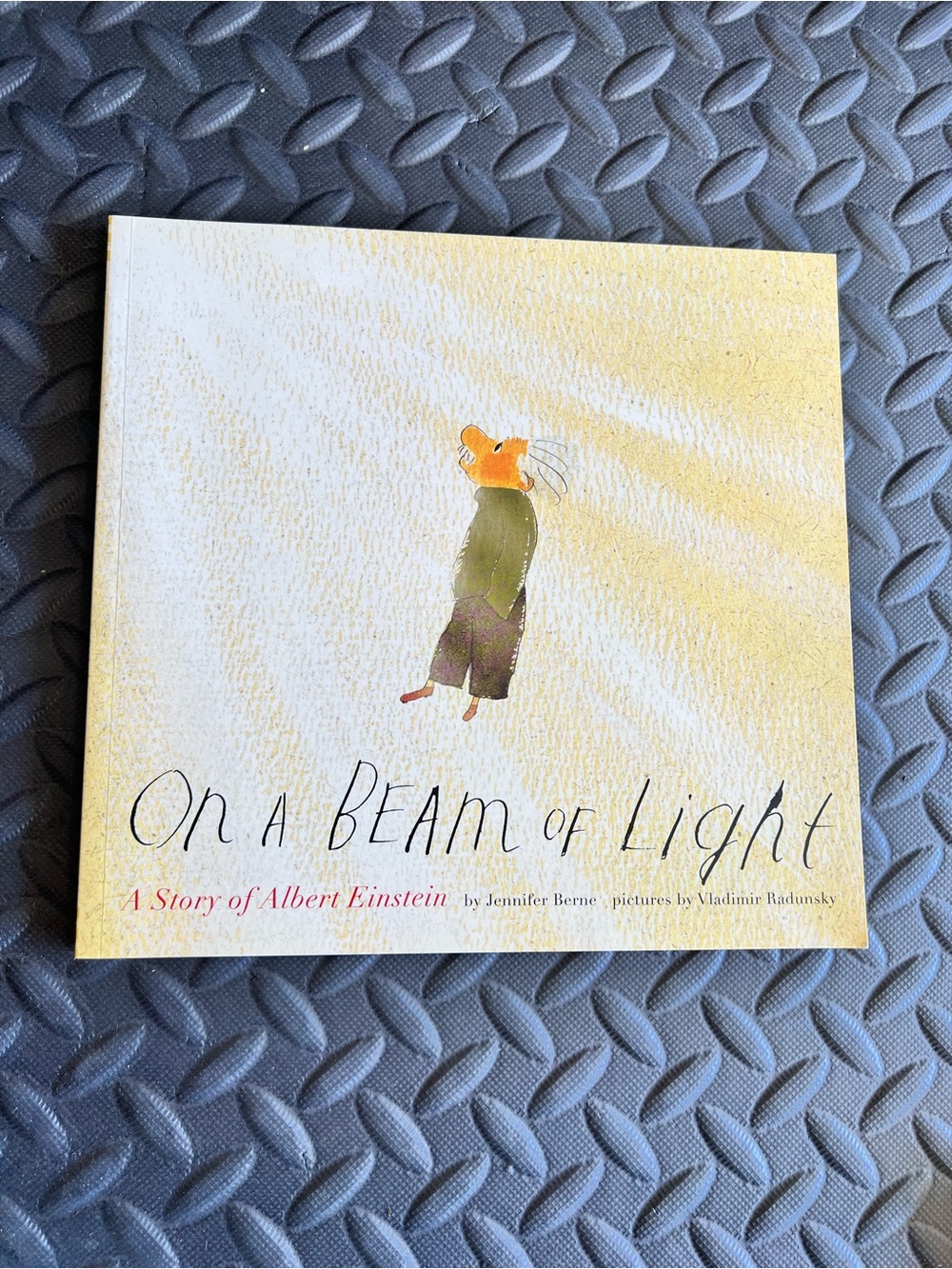 On a Beam of Light (A Story of Albert Einstein) by Jennifer Berne